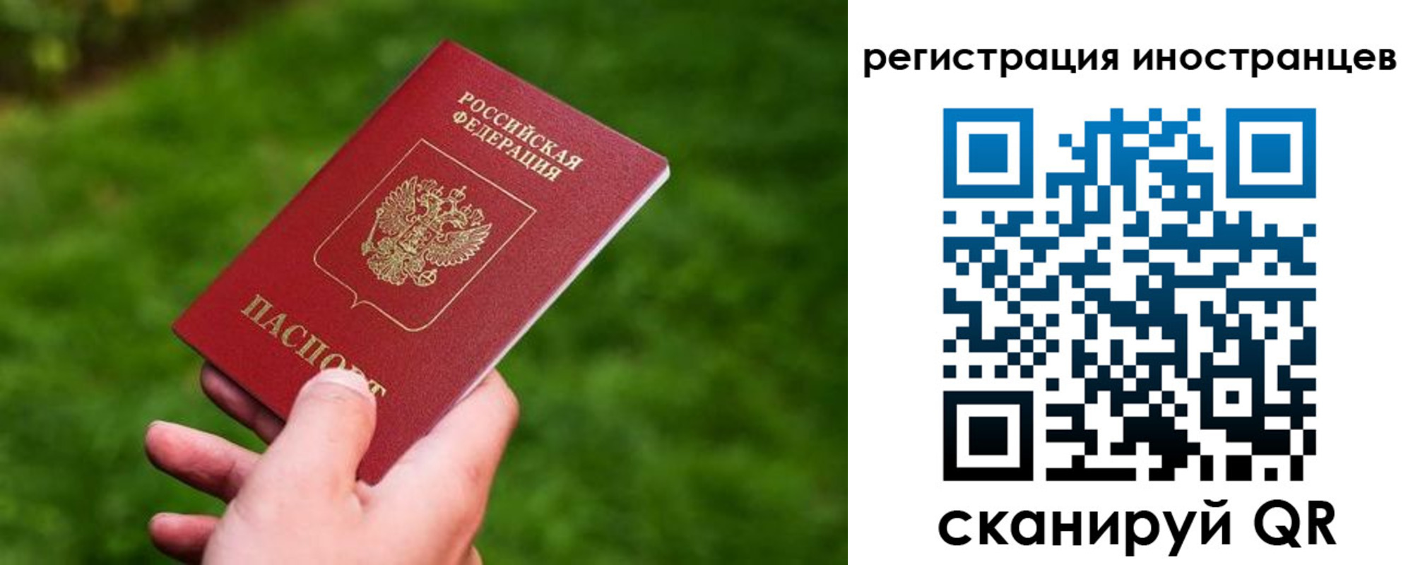 прописка поиск в Ставрополе